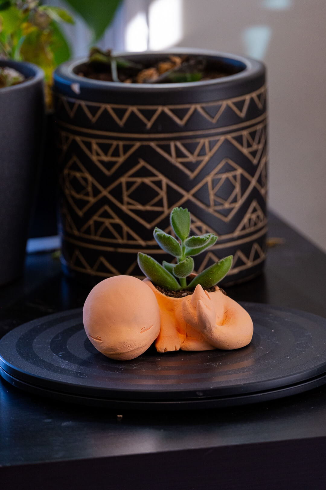 charmander pot image